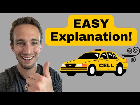 Cell Transport - Active and Passive