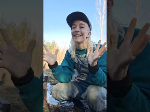 Crowdfunding Announcement