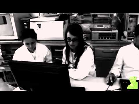 29.12.12 Castiglione Spirito del Grano - Quando e perchè la "pasta" danneggia