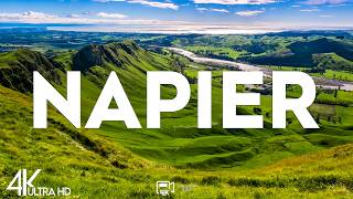 Top 10 Best Things to do in Napier, New Zealand [Napier Travel Guide 2026]