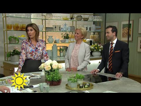 Steffo: Ett rosévin borde kunna få max 3 solar - Nyhetsmorgon (TV4)