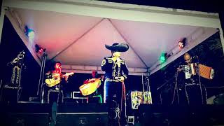 Video de Andres Villarreal Mariachi Real Azteca