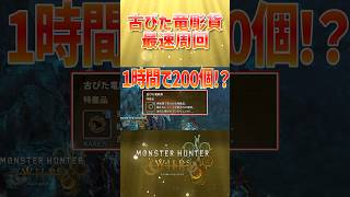 【モンハンワイルズ攻略】古びた竜彫貨を1時間で200個手に入れる方法#モンハンワイルズ #モンハン