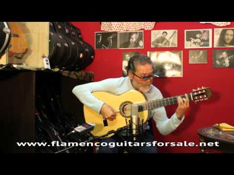 Diego Carrasco en Solera Flamenca