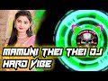 Mamuni Thei Thei Song Dj VIBE DJ RAJ X DJ X SHAN