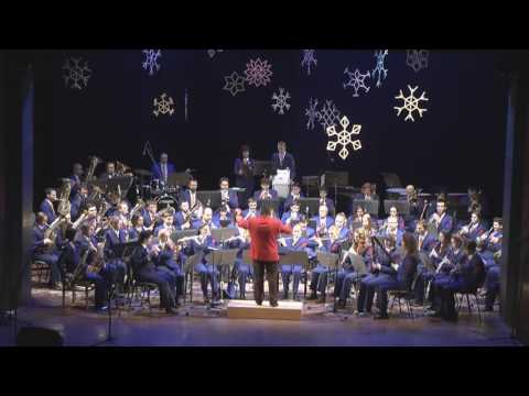 Vánoční koncert DOM /Slavnostní pochod/ 17.12.2016