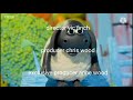 Timmy Goes To The Naugty Stump Brum Version Ragdoll Limited