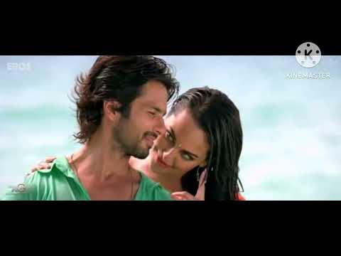 Dil Ya Dhokha Dhadi | Video Song | Shahid Kapoor | Sonakshi Sinha | R RajKumar