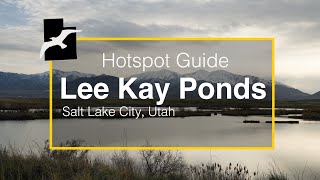 Guide to Birding Lee Kay Ponds