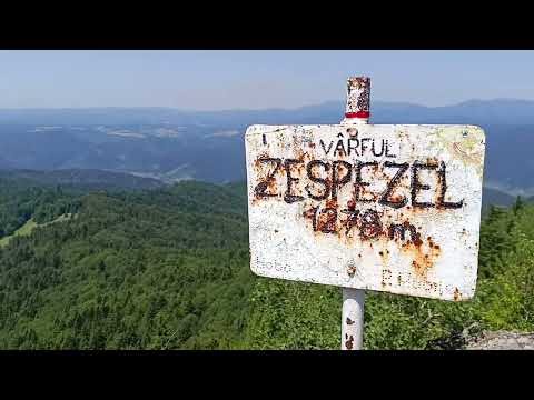 Varful Zespezel 1238m. Muntii Ghurghiului. 26.07.2025.