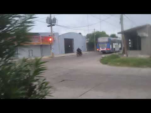 Colectivo de línea 6 y Santiago del Estero Clodomira 2026