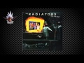 The Radiators - Summer Holiday