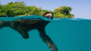 Yung Lean - Highway Patrol (feat. Bladee)