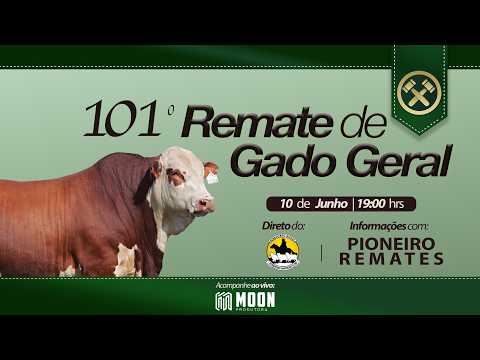 101° - REMATE DE TERNEIROS E TERNEIRAS | PIONEIRO REMATES | SINDICATO RURAL DE PINHEIRO MACHADO/RS
