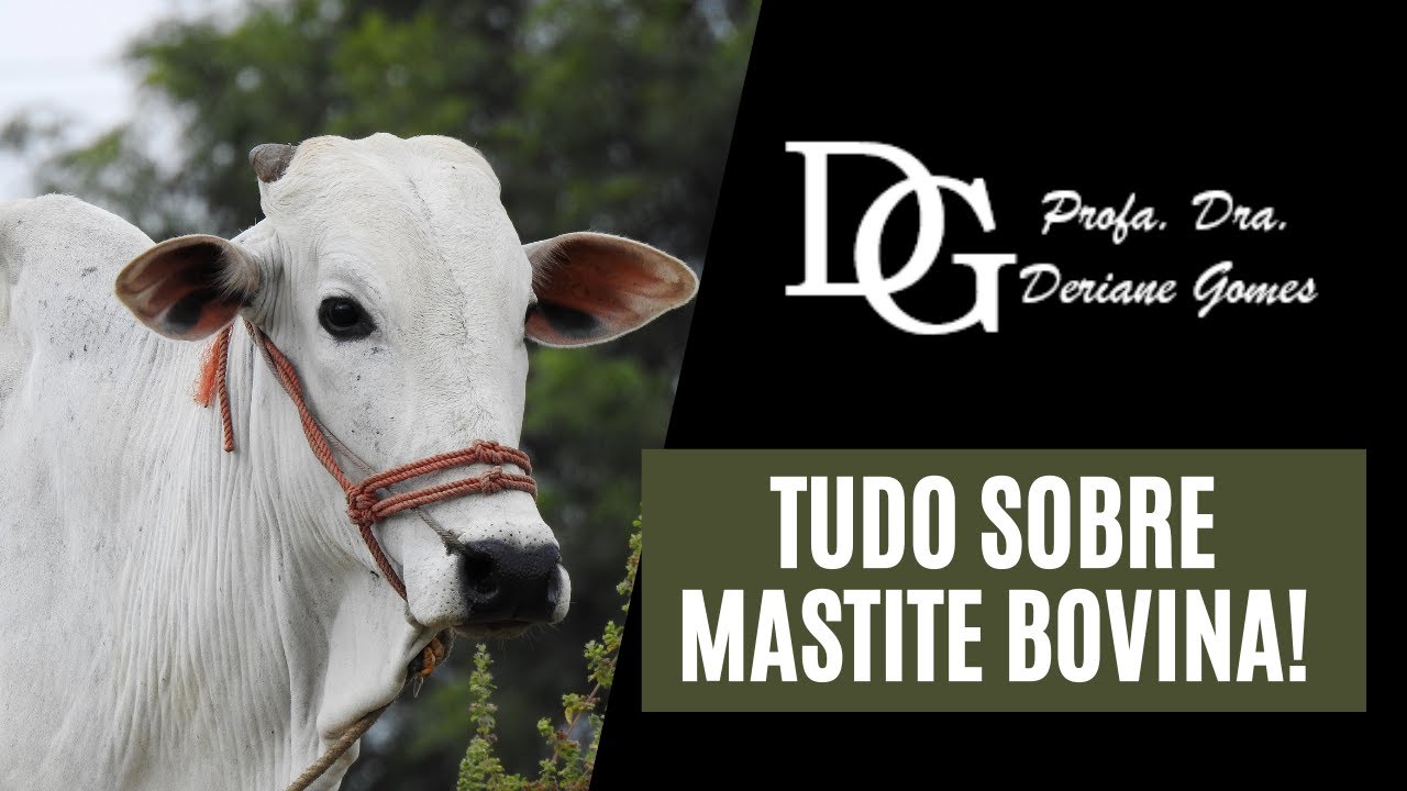 075. Tudo Sobre Mastite Bovina!