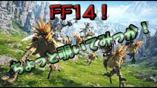 FF14チラッと体験してくる！