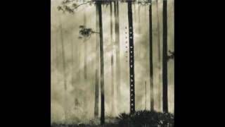 Deadbeat - Texas Tea