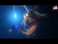 Finding Nemo Anglerfish Scene English