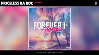 13. Priceless Da ROC - Big Mad (Produced By Simon Sayys Of SlghtWrk) (Audio)