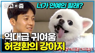 "이렇게 예쁜 강아지 봤어요?" 포실포실 깜찍한 외모로 가족들의 사랑을 듬뿍 받는 반려견의 문제 행동은?｜세상에 나쁜 개는 없다｜알고e즘