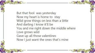 Buddy Miller - Love Grows Wild Lyrics