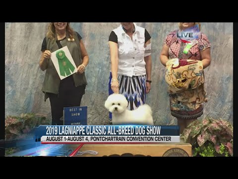 2019 Lagniappe Classic Dog Show set for this weekend in Kenner