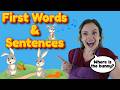 First Words Sentences For Toddlers Baby Speech Practice With BSL Signs 12 24 Months
