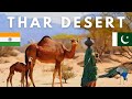 Thar Desert India Pakistan Border Life Beautiful Tharparkar Hinducityinpakistan Villagelife
