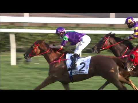 24/1/2021 (371) Excellent Proposal- B Shinn (The Hong Kong Classic Mile)