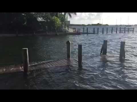 Marina de Grove Harbor, Coconut Grove