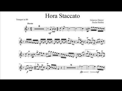 G. Dinicu - J. Heifetz: Hora Staccato (Hakan Hardenberger, cornet)