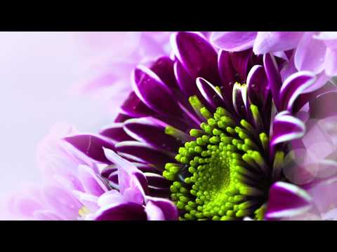 Radvile - We Found Love (sena versija)