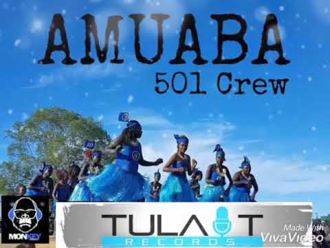 501 Crew - Amuaba