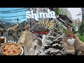3 Days Shimla Trip ️ Aesthetic Travel Vlog Cafe S Tourist Places Etc Travel Aestheticvlog