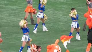 VENUS  &  diana  「巨人&横浜DeNA：チアリーダー」