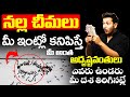 నల్ల చీమలు మీ ఇంట్లోకనిపిస్తే మీఅంతఅ