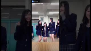 可愛いがいっぱい