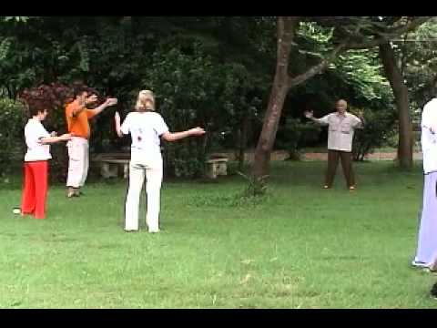 Mantak Chia   06 Volume 06   Cosmic Tree Healing Chi Kung