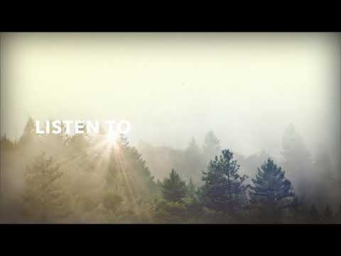 Fabio Vee - This World (Lyric Video)