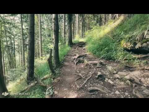 Hike up to Berggasthof Neureuth