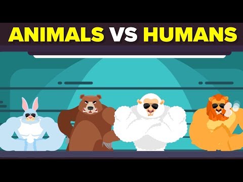 , title : 'What If Animals Went To World War With Humans?'