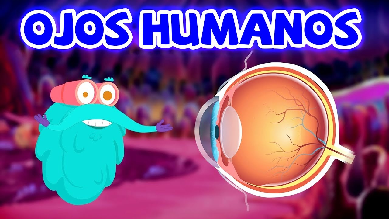 Asombrosos secretos del ojo humano | Ciencias para niños