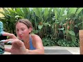 LIVE FULL BODY WORKOUT