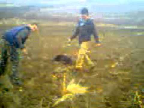 Petrika face salturi!!!