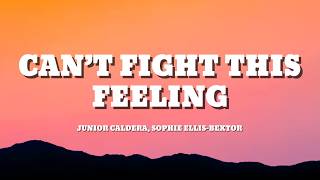 Junior Caldera, Sophie Ellis-Bextor - Cant Figth This Feeling (Lyrics)
