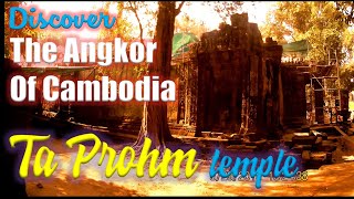 preview picture of video 'Exploring the Angkor Temple Complex, Cambodia: Ta Phrom Temple'