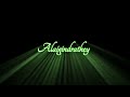 Iravum En Pagalum Black Screen Lyrics Adithiya Varma