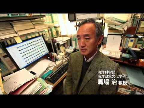 海洋電子機械工学科 東京海洋大学Scientist Profile 馬場 治