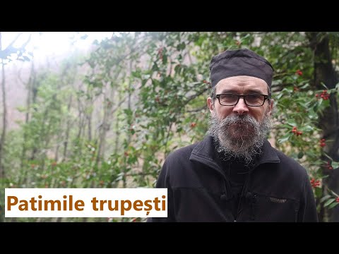 Patimile trupești - părintele Teologos