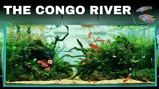 Miniatura filmu z YouTube
